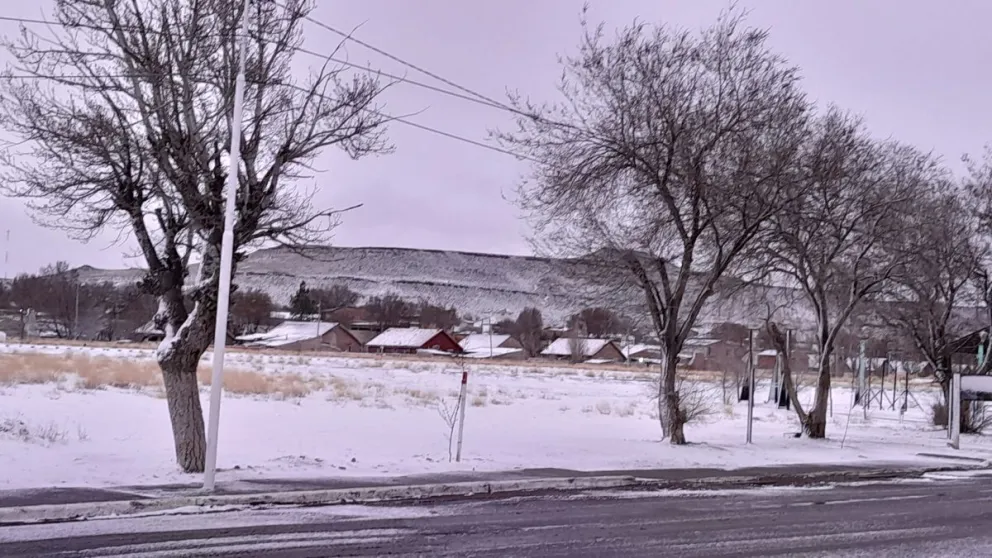 La nieve volvió a pintar de blanco la estepa patagónica