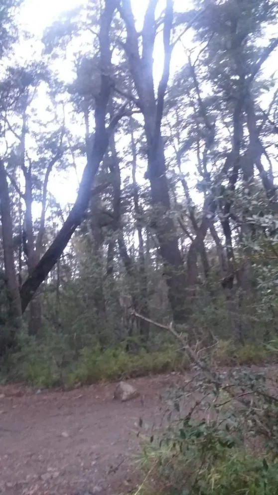 Cierran cascada de los Duendes e ingresos a miradores, Muñoz y Frey