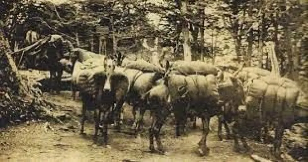 El Nahuel Huapi, “un fundo chileno”