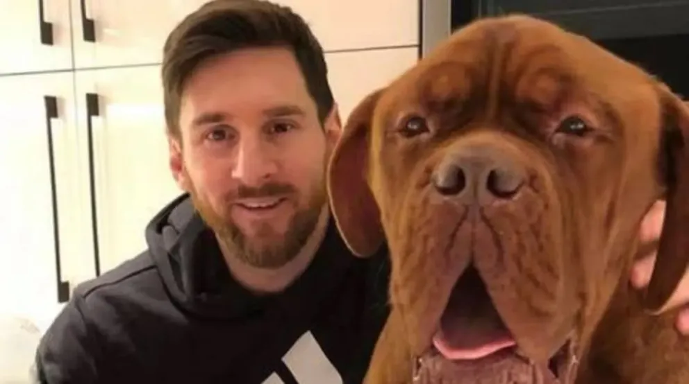Se reveló que pasó y donde está Hulk, la mascota perruna de Messi
