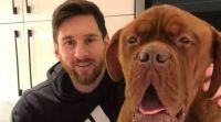 Se reveló que pasó y donde está Hulk, la mascota perruna de Messi