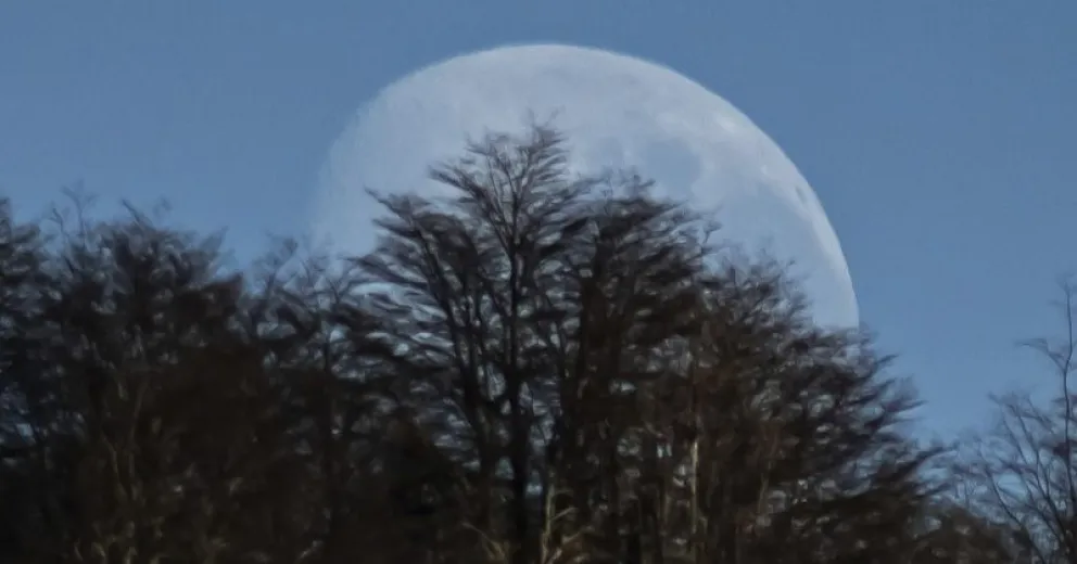 Un regalo de la naturaleza para los madrugadores
