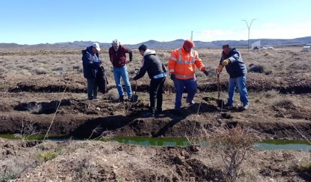 Pilcaniyeu apuesta a la reutilización del agua con fines forestales