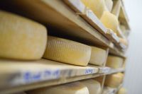 Las exportaciones de lácteos no pagarán retenciones hasta fin de año