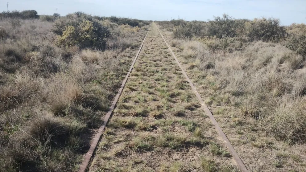 Hoy sale el primer tren de carga desde Viedma hacia Bahía Blanca