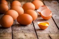 Los especialistas recomiendan incorporar el huevo a la dieta diaria