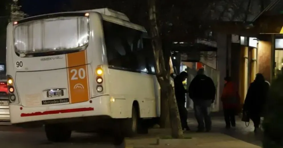 Un peligro: colectivo sin frenos en pleno centro de Bariloche terminó arriba de una vereda