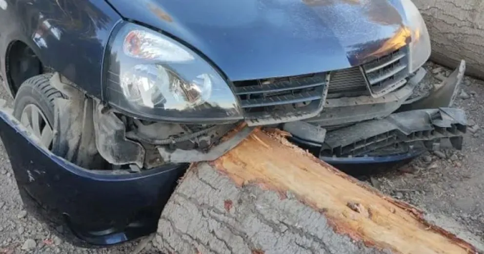 Vecino chocó su auto contra un tronco de poda preventiva