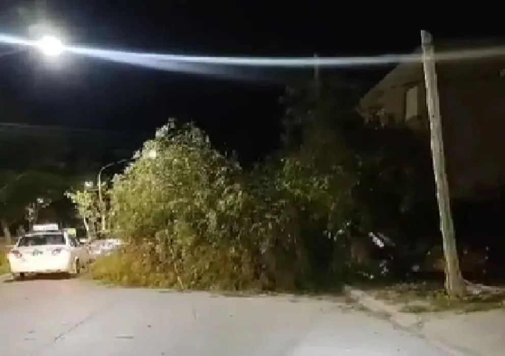 Tres jóvenes fallecidos en un trágico accidente en calle Alem de Cipolletti
