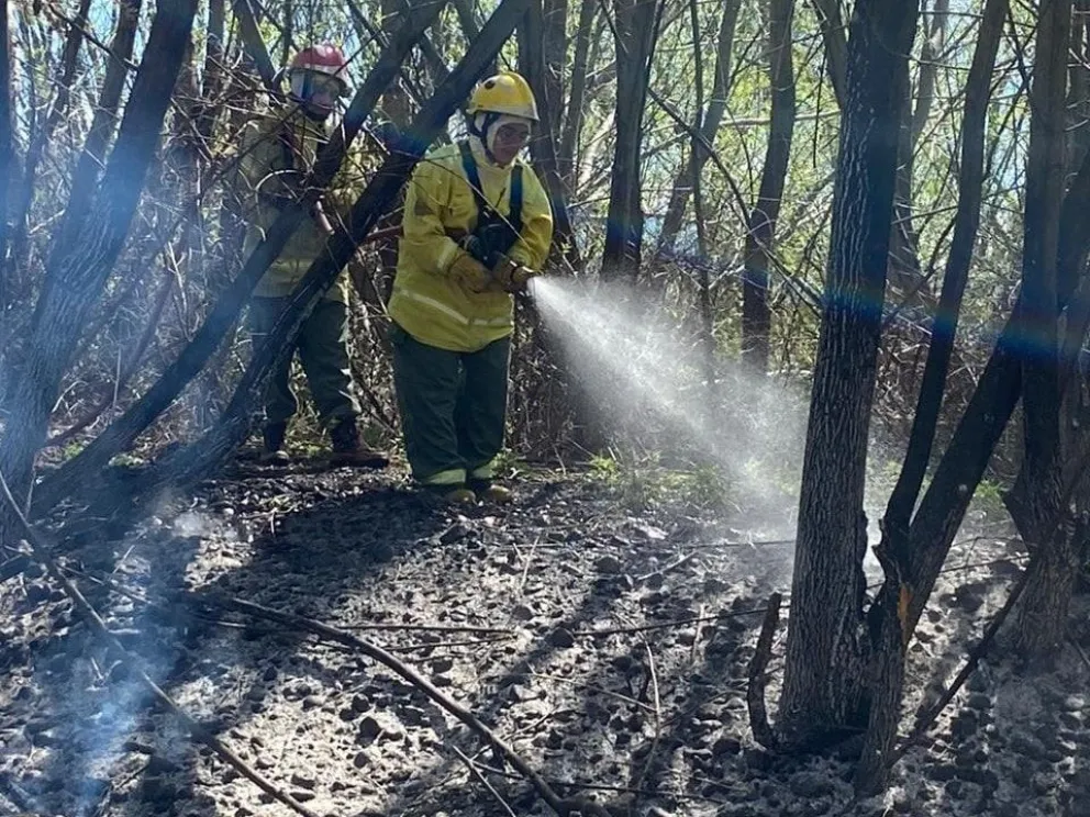 Abandonaron una quema y produjo un incendio de interfase