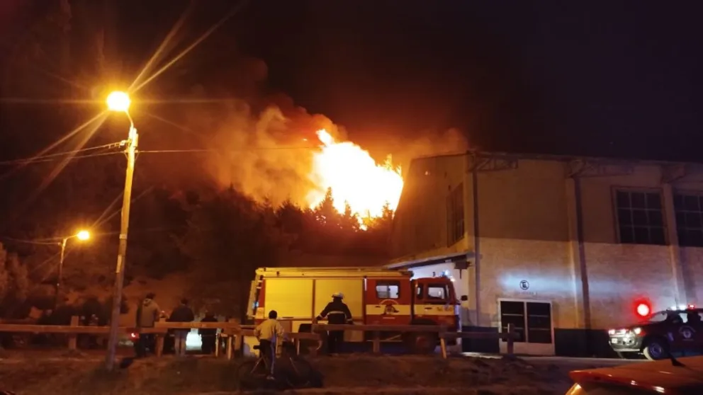 Lograron contener el incendio en descampado lindero al Gimnasio Municipal 2