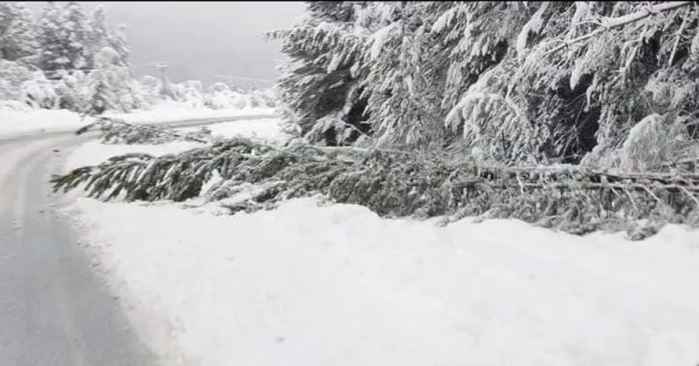 Transitable con extrema precaución entre Bariloche y El Bolsón por acumulación de nieve
