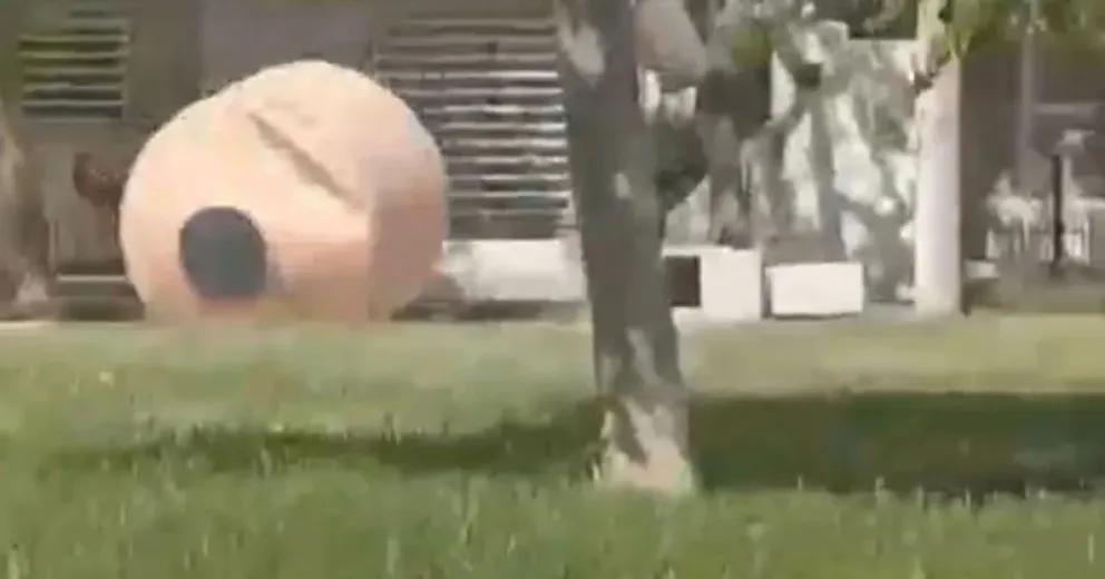 Un vecino filmó el momento cuando voló un tanque de agua