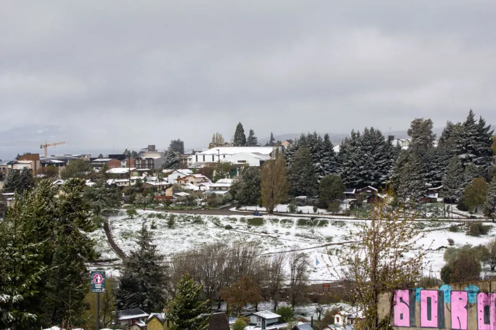 Mirá las postales de un domingo pintado de blanco