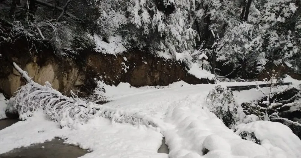Continuará cerrado el camino a Tronador y se anuncian más nevadas