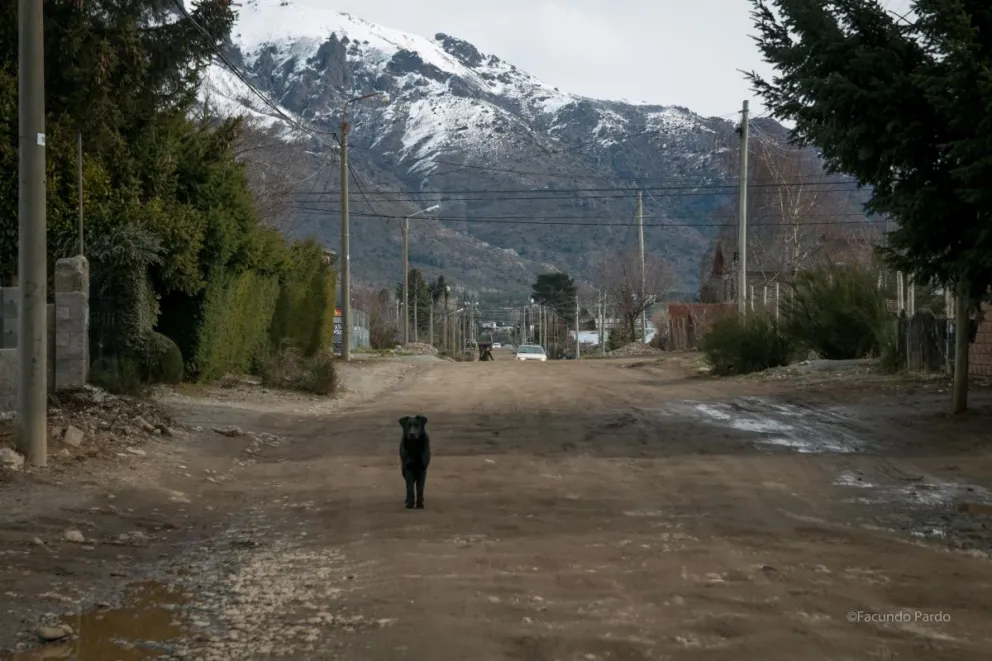 Los vecinos del barrio solicitan extremar las precauciones ante la presencia de personas desconocidas que ofrezcan servicios.