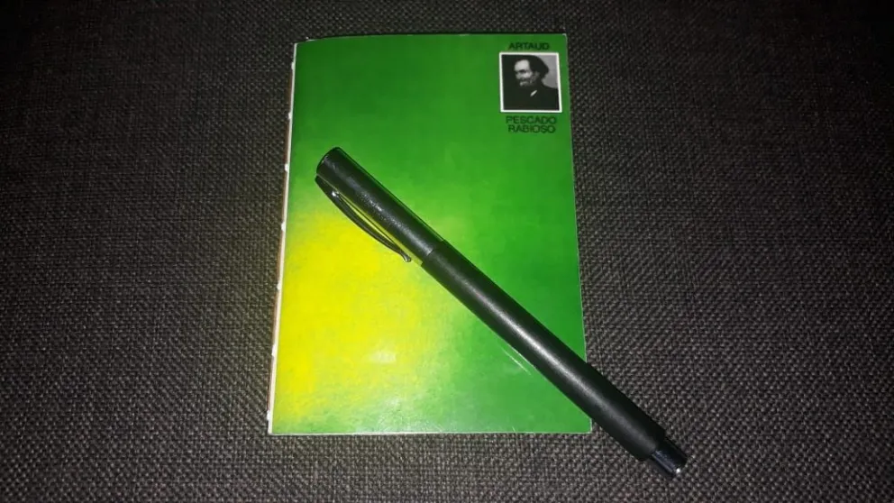 Anotaciones en una libreta verde: diario de un viaje breve a Buenos Aires