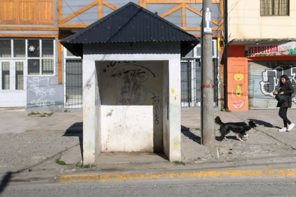 Sábado sin colectivos en Bariloche 