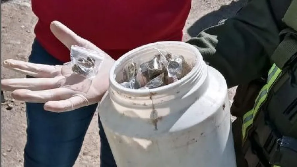 Gendarmería decomisó 174 bolsas de marihuana "abandonada" en un micro de larga distancia