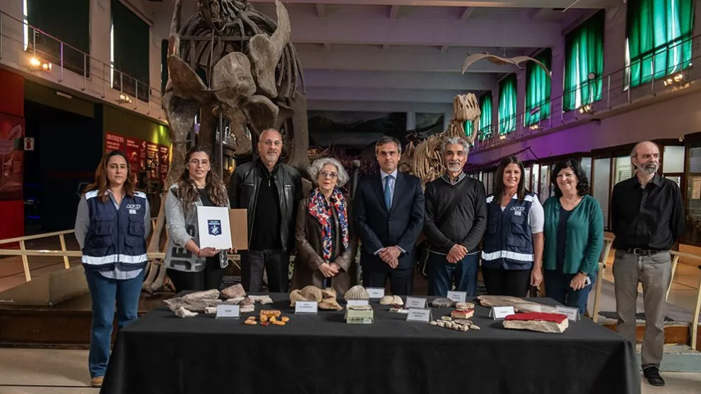 ¿Cuándo llegan los fósiles al Museo Paleontológico Bariloche?