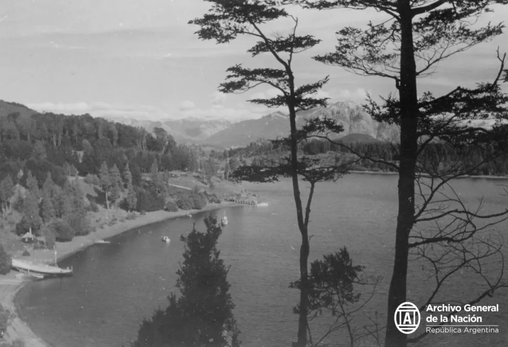 En la década de 1930, Parques trajo cisnes, ciervos moteados y faisanes a la isla Victoria