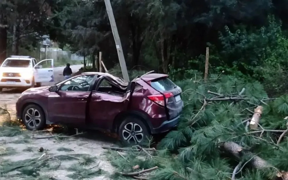 La historia de la turista que vino de visita, sufrió un grave accidente y volvió a hablar cantando