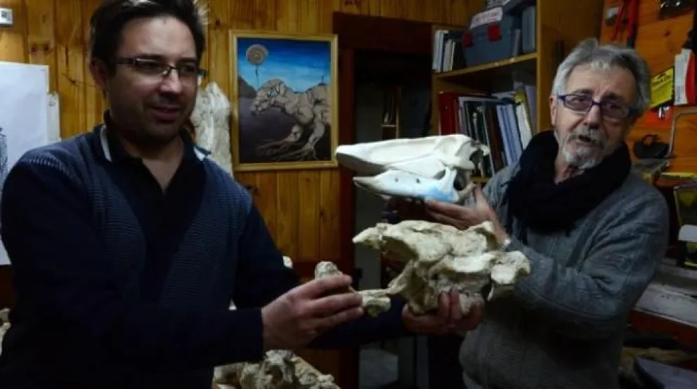 El director del museo que pretendía robarse los restos fósiles había recibido un Diploma de Honor del Senado