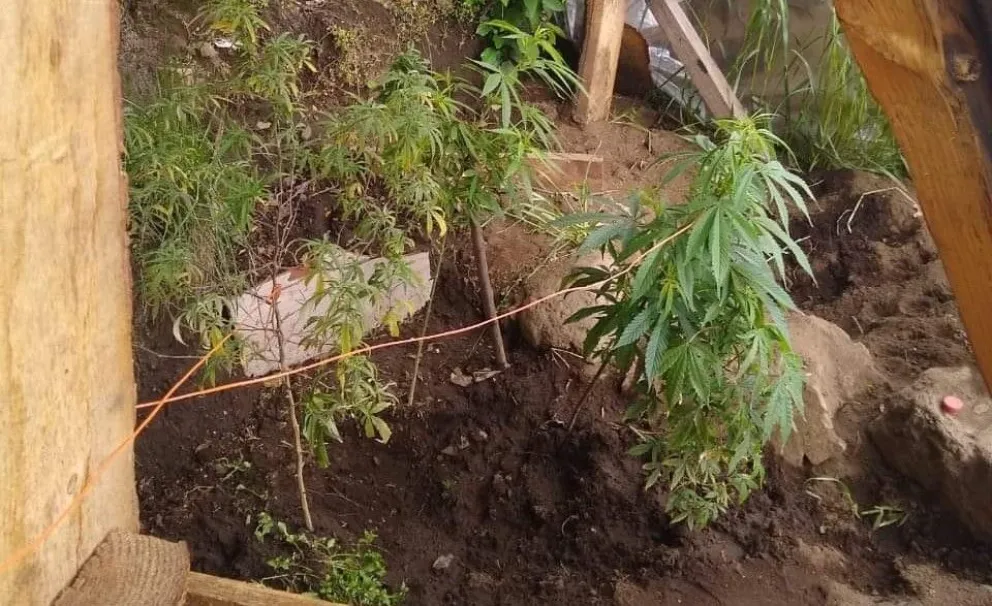 Efectivos policiales allanaron una vivienda y secuestraron elementos que estarían relacionados a un hecho delictivo