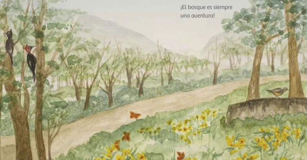 Ya se puede descargar el libro infantil ¿Dónde está mi bosque?