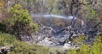 Lograron contener principio de incendio forestal