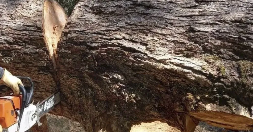 Realizaron trabajos para habilitar el sendero Mirador del Valle
