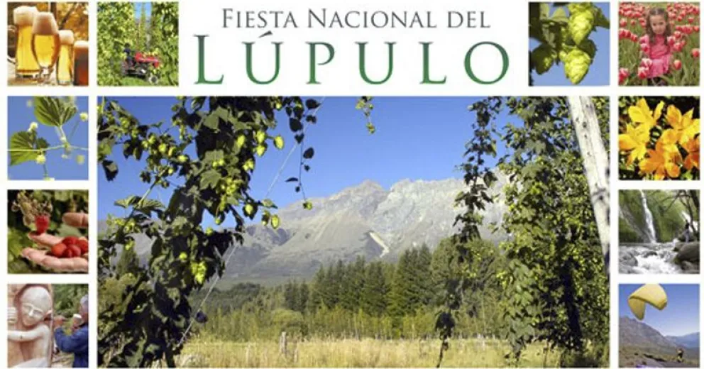 Peligra la Fiesta Nacional del Lúpulo