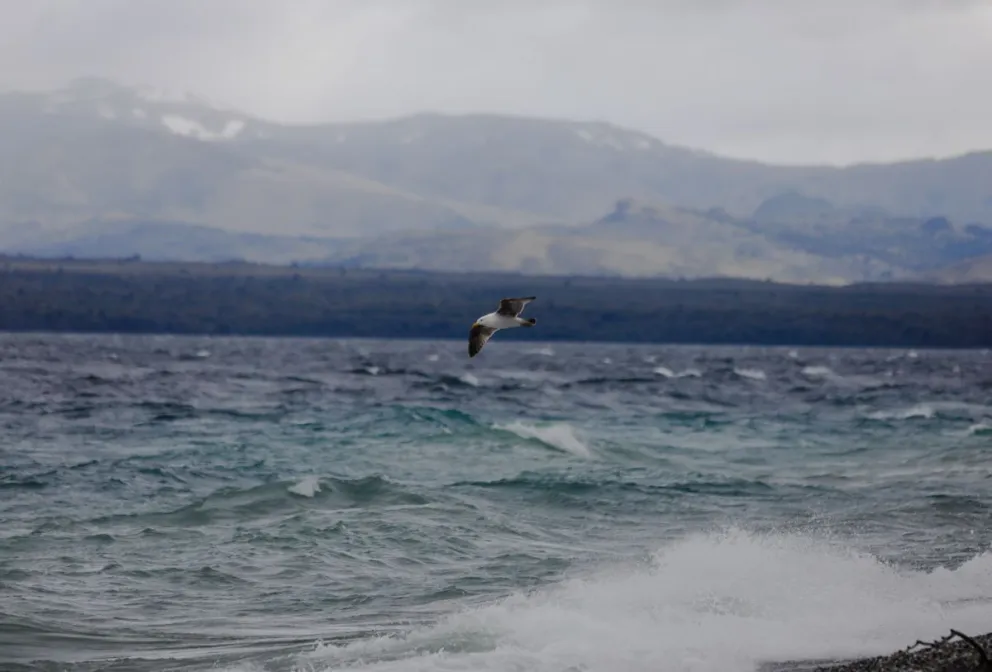Lluvia y viento para el fin de noviembre y el comienzo de diciembre en Bariloche 