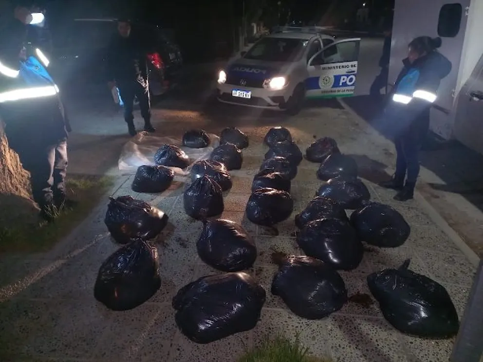 Detuvieron a un sujeto que transportaba en bolsas 500 kg de carne de guanaco 