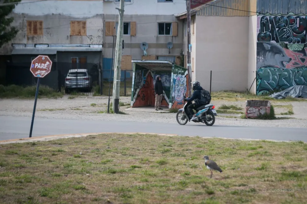 Cuarto día sin colectivos en Bariloche: Hasta que no se abonen los sueldos y el aguinaldo los choferes no salen 