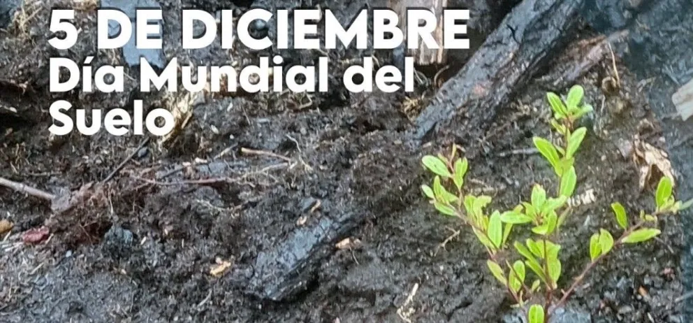 El Parque Nacional Nahuel Huapi destaca la importancia del Día Mundial del Suelo 