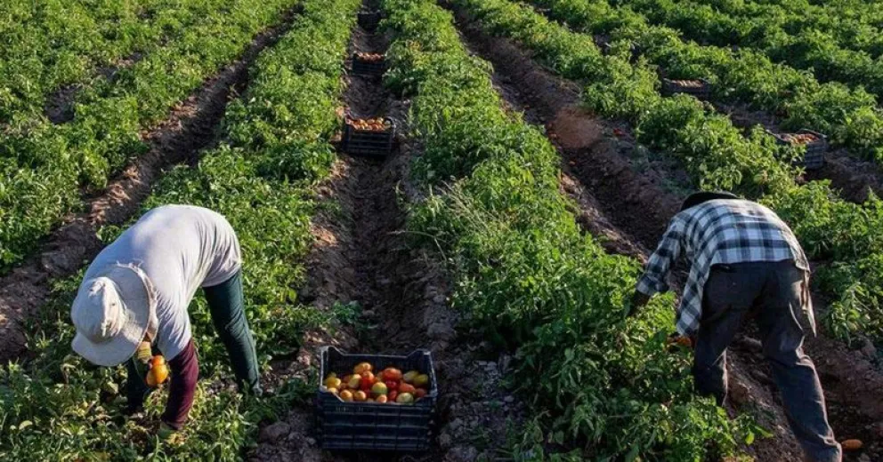 Congreso de Agroecología con la idea de alejar los agrotóxicos