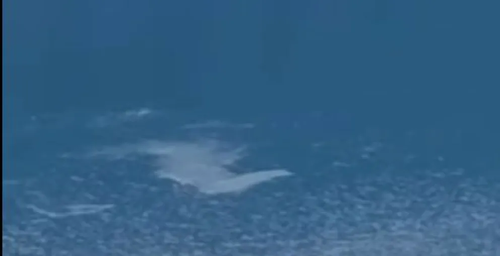 ¿Volvió el Nahuelito?: extraños movimientos en el lago despiertan intriga en las redes