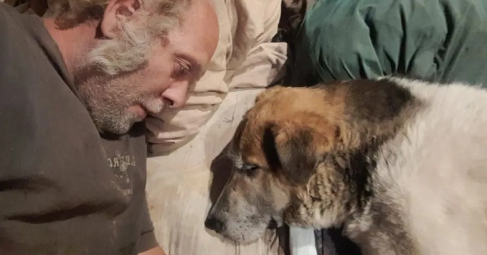 Octavio necesita reunir dinero para cirugía de dos perros rescatados