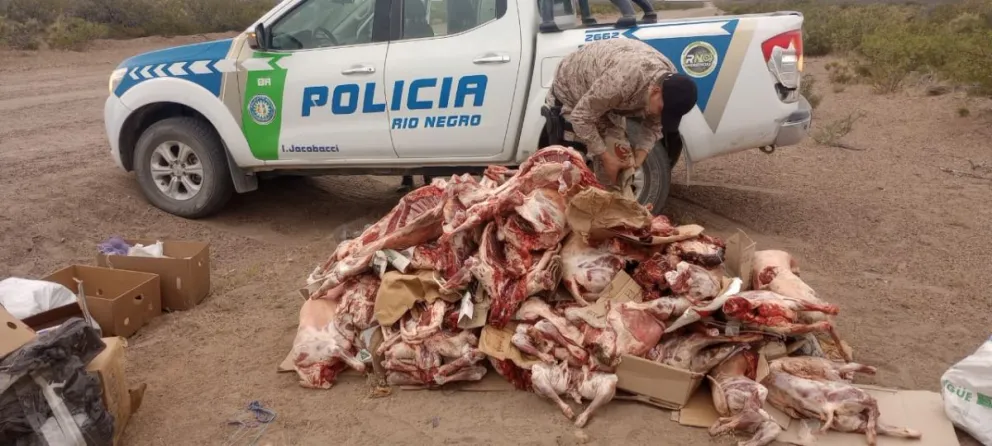 Policía secuestró 50 animales faenados en Ingeniero Jacobacci