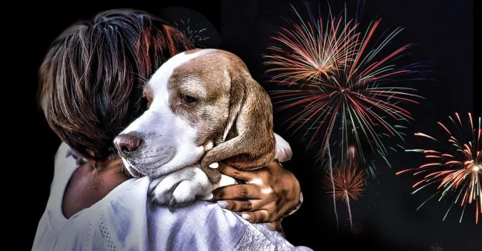 Las organizaciones anticiparon nuevas acciones para insistir con el reclamo de prohibición total del uso de pirotecnia en la ciudad chubutense.