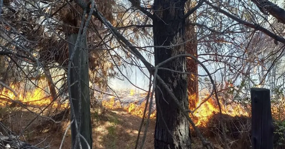 Incendio forestal descontrolado en Epuyén