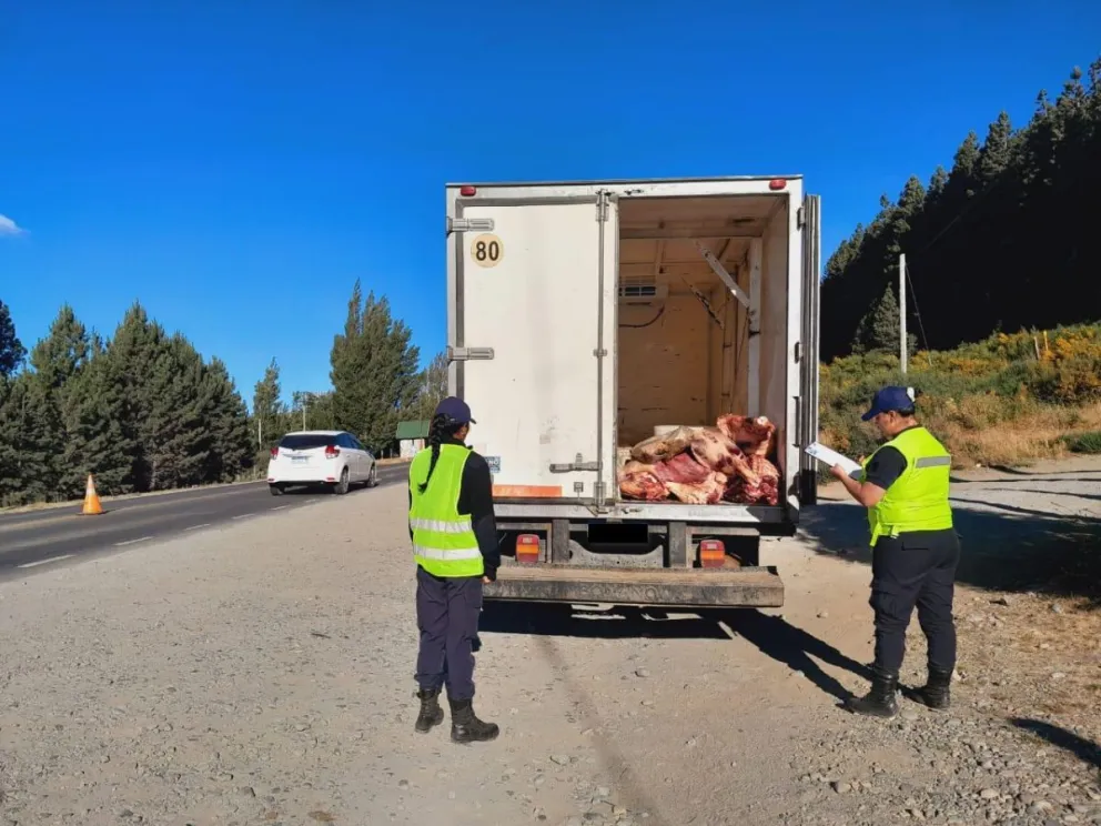 Secuestran más de 300 kilos de carne en mal estado que iban a parar a un negocio de Dina Huapi