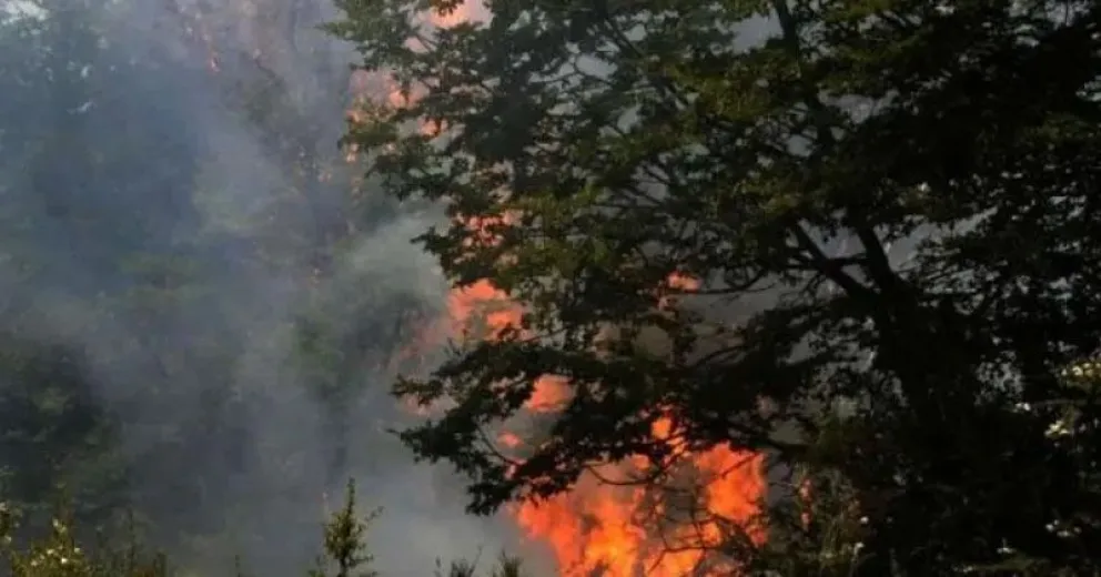 Una tormenta eléctrica provocó un incendio forestal