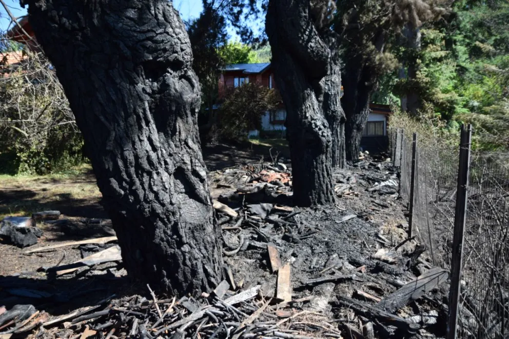 Susto por un incendio forestal en la zona del kilómetro 4