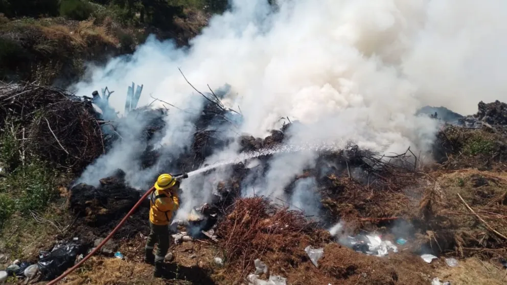 Se reactivó el incendio del vertedero de residuos forestales 