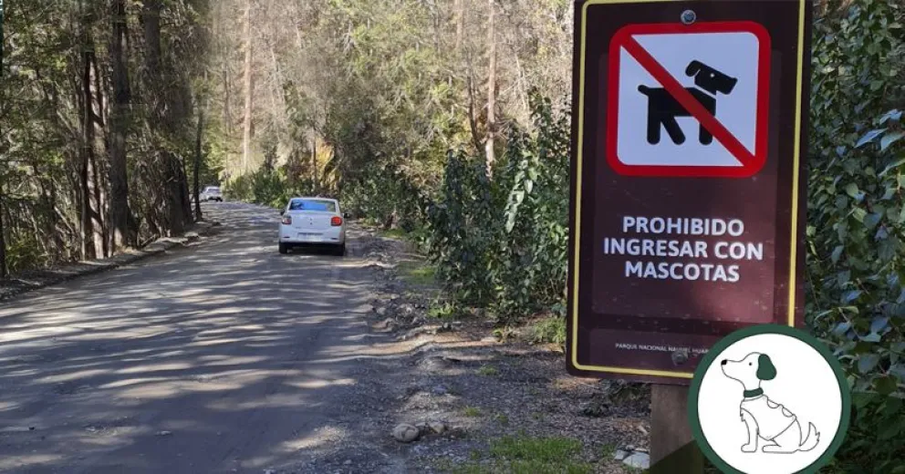 Preocupación por el ingreso con mascotas al parque nacional: hubo ataques de perros a especies protegidas