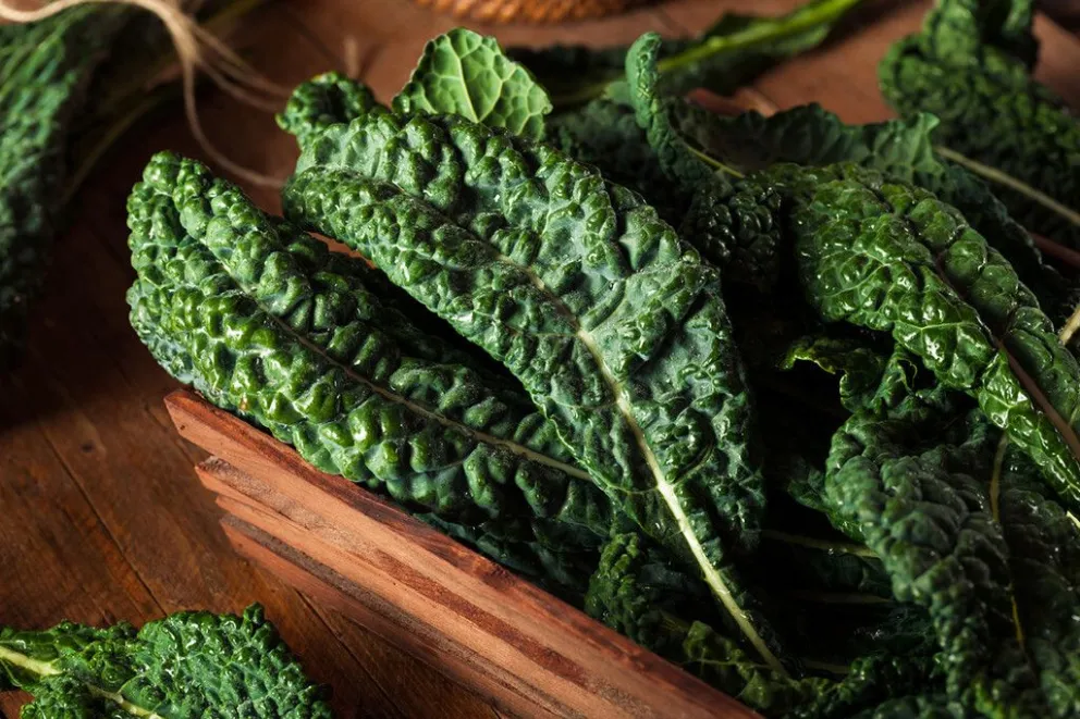 Descubrí la "Superverdura": Beneficios y Propiedades de la Kale