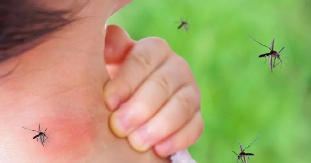 Paciente con síntomas compatibles con dengue fue derivado desde Villa La Angostura a Neuquén