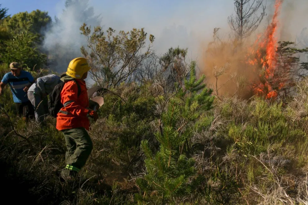 Es indispensable tomar recaudos para evitar incendios forestales 